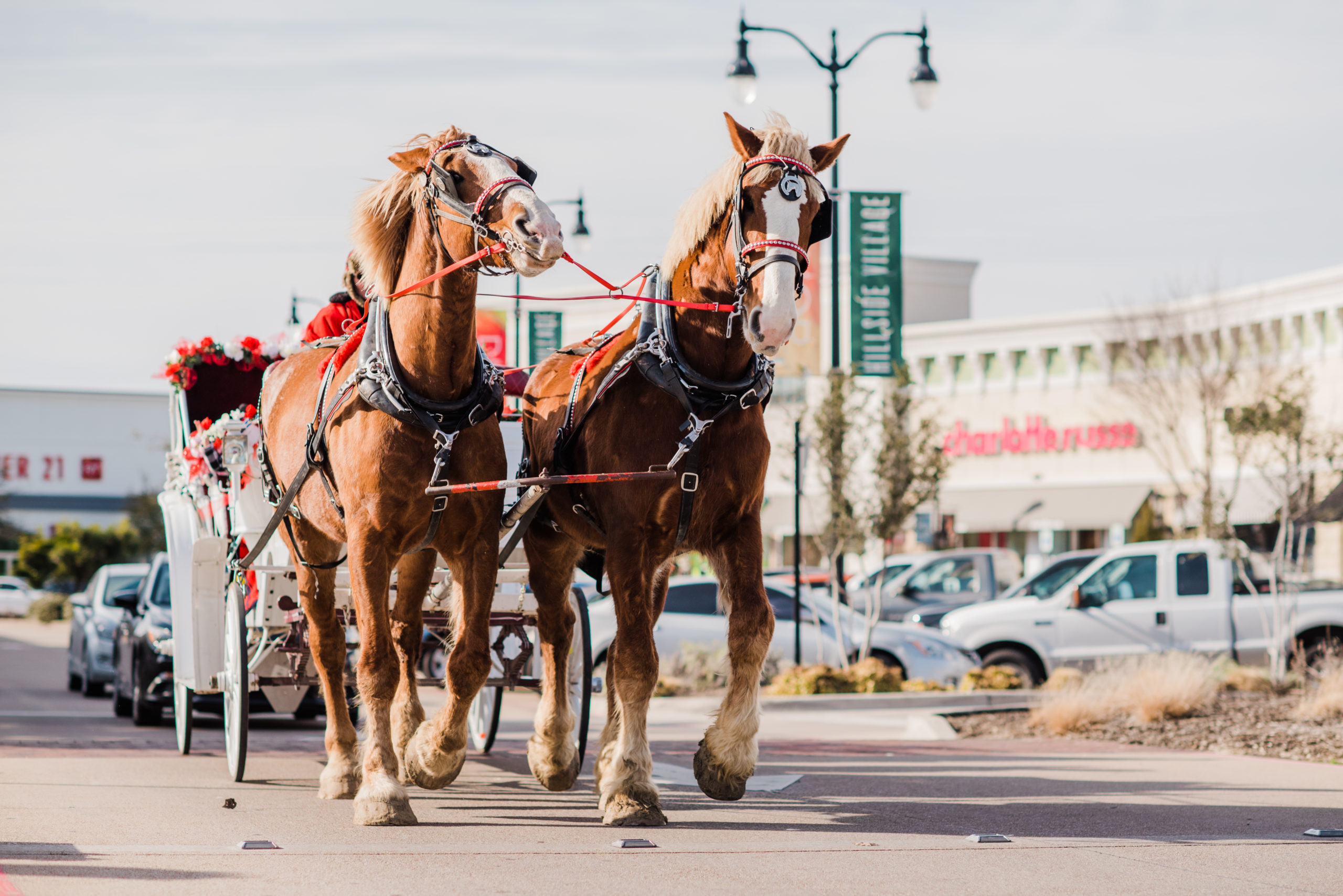 Horses pulling a carriage around shopping center.